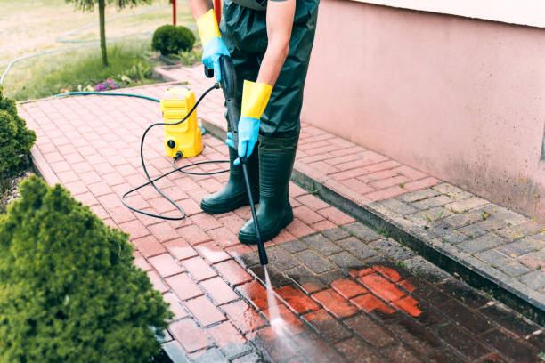 Local Pressure Washing Services in Mcgraw, NY