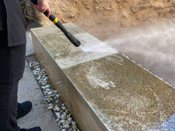 Best Deck Cleaning Services  in Mcgraw, NY